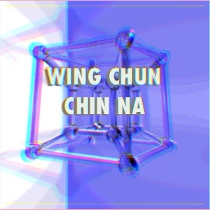 Wing Chun Chin Na Icon